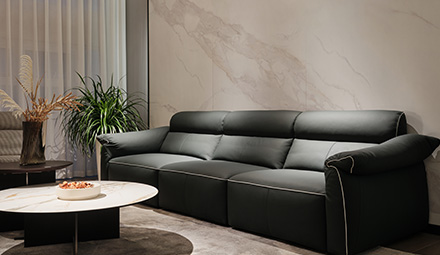 綠巨人沙發(fā) Z99